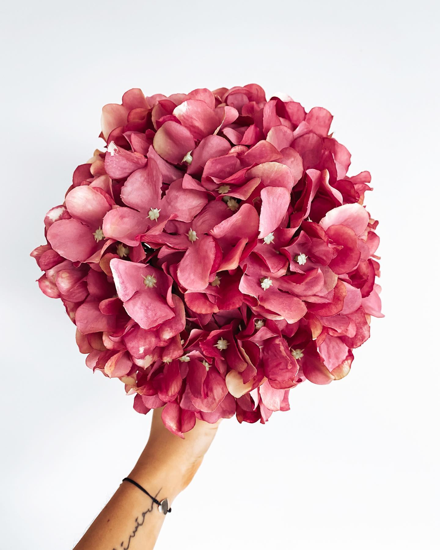 Flower Box hortensja ciemny róż  (PREMIUM) zdjęcie 1