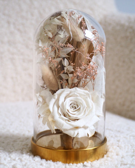 Szklana kopuła z wieczną różą krem zdjęcie 1