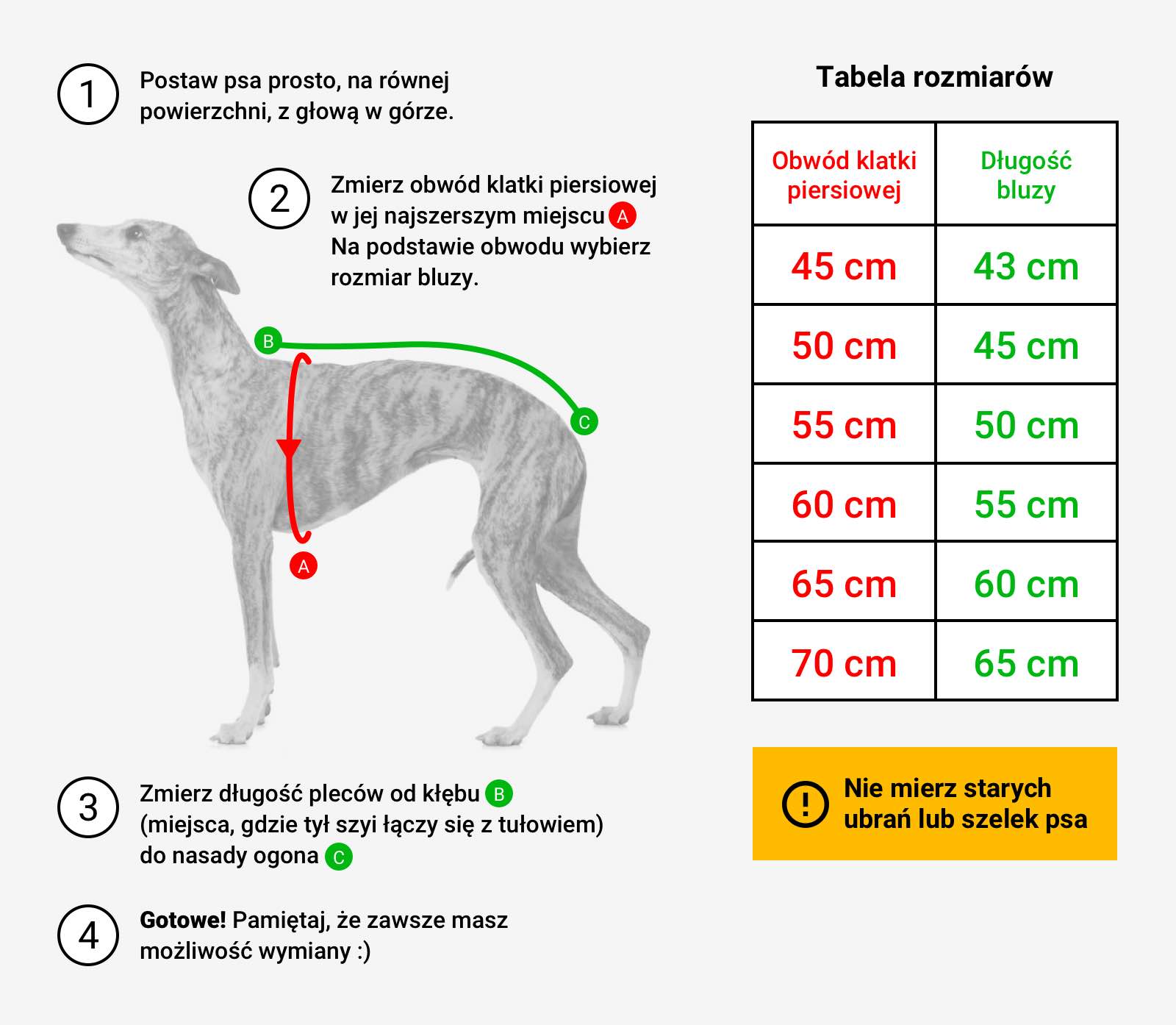 Bluza dla charta - Mistrzowie Wypoczynku - Pieski w Kreski zdjęcie 4