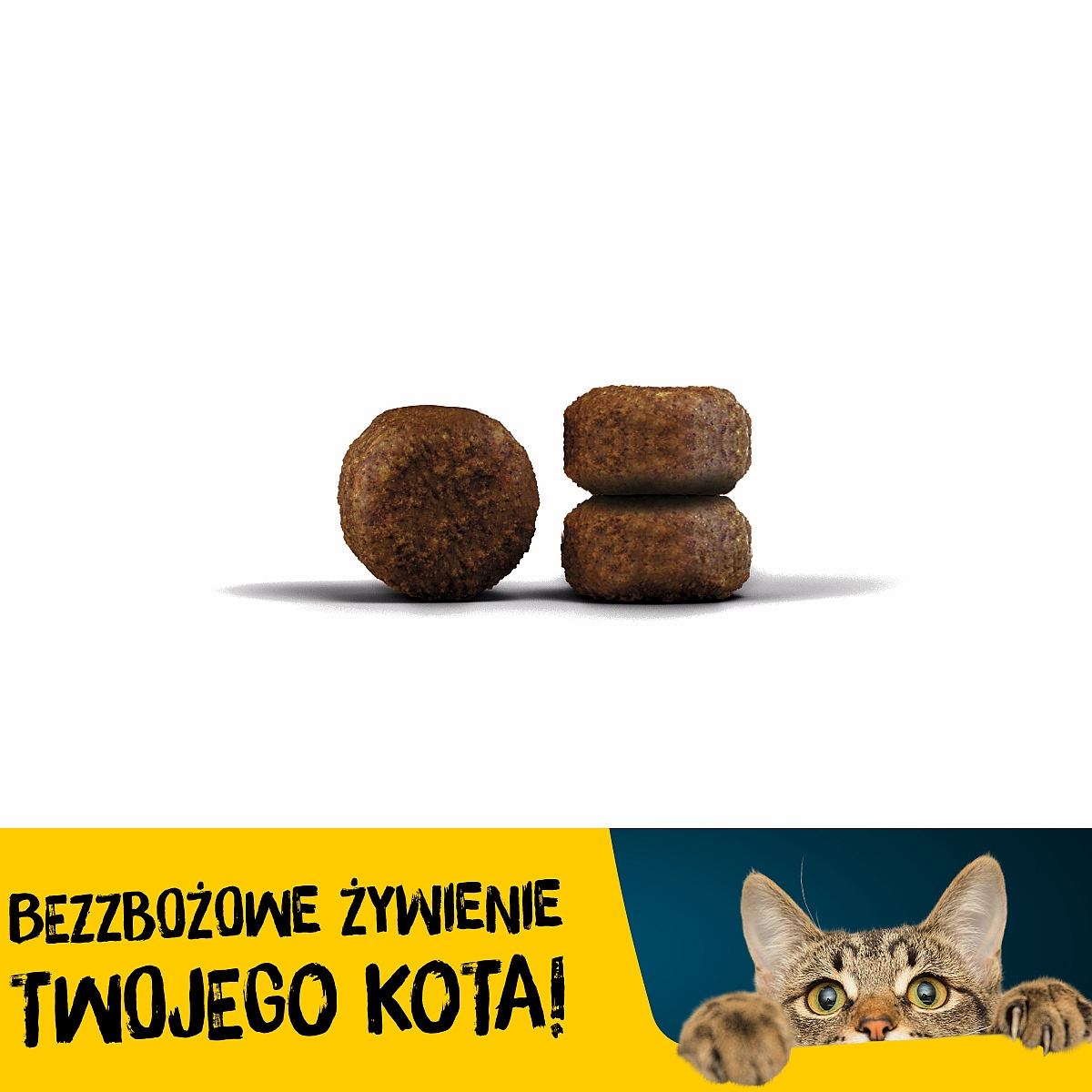 Josera DAILYCAT 10kg bezzbożowa karma z pysznym kurczakiem - Josera zdjęcie 3